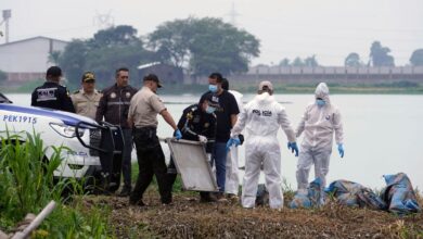 Hallados ocho cadáveres encerrados en bolsas, tras la desaparición de miembros de una misma familia Hallados ocho cadáveres encerrados en bolsas, tras la desaparición de miembros de una misma familia